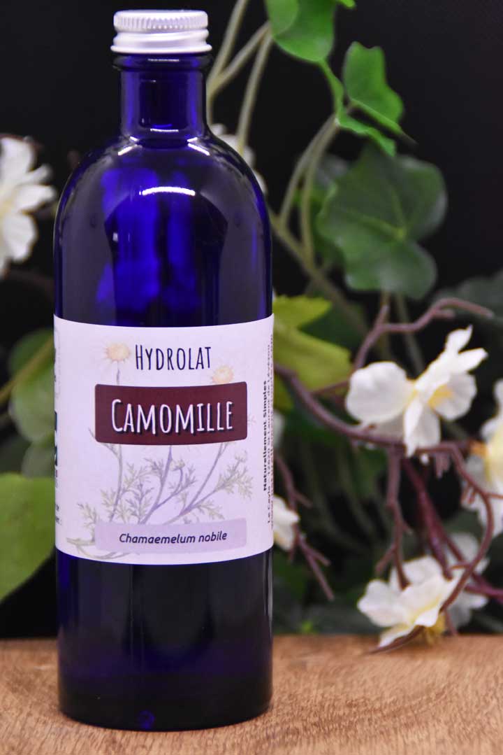 Camomille romaine (Chamaemelum nobile) hydrolat